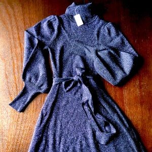NWT Ann Taylor Shimmer Glitter Metallic Long Sleeve Midi Dress - XS